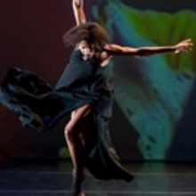 Brooklyn Museum Celebrates Black History Month With BEVERLY BUCHANAN And I SEE…