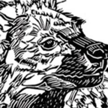 HYENA SUBPOENA by Cat Kidd: Six Wild Animal Tales Set to Soundscapes