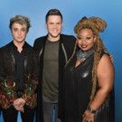 AMERICAN IDOL XV Cancels Summer Tour