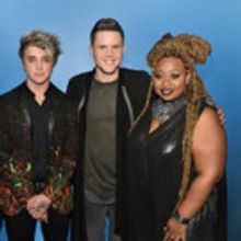 AMERICAN IDOL XV Cancels Summer Tour