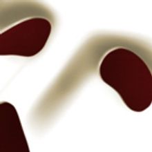 Palace Theater Helps Stock the Pantry