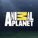 Animal Planet to Premiere New Docu-Series TEXAS VETS, 6/4
