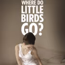 Camilla Whitehill's WHERE DO LITTLE BIRDS GO? Comes to the Old Red Lion Theatre this…