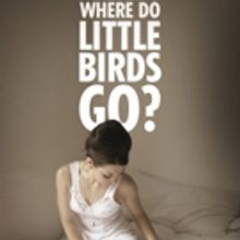 Camilla Whitehill's WHERE DO LITTLE BIRDS GO? Comes to the Old Red Lion Theatre this 