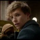 VIDEO: Watch First Teaser Trailer for FANTASTIC BEASTS AND WHERE TO FIND THEM