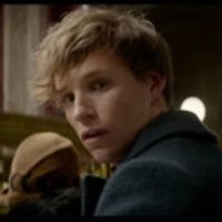 VIDEO: Watch First Teaser Trailer for FANTASTIC BEASTS AND WHERE TO FIND THEM Video