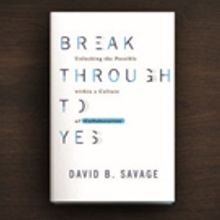 David B. Savage Releases BREAK THROUGH TO YES