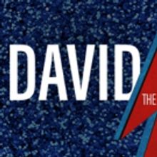 Houston Symphony to Perform Music of David Bowies This Summer