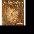 NEXT TIME YOU SEE A SPIDERWEB is Released