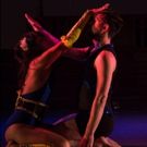 Photo Flash: Sneak Peek at Chicago Danztheatre Ensemble's BINDIS AND BRUISES and…