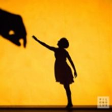 Pilobolus Bring Their Groundbreaking Show SHADOWLAND to Van Wezel