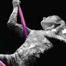RDT's Ring Around the Rose Presents AERIAL ARTS OF UTAH