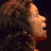 VIDEO: Hartford Stage's ROMEO AND JULIET Inspires High School Student To Help Mend… Video