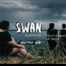 Little Black Afro Theatre Presents SWAN