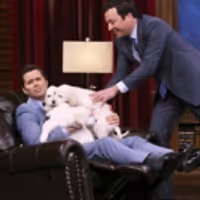 VIDEO: Andrew Rannells Talks 'Girls' Performance; Takes 'Pup' Quiz on TONIGHT SHOW Video