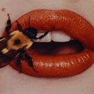 Frist Center Presents Works By Irving Penn In IRVING PENN: BEYOND BEAUTY Opens Today