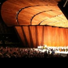 The Cleveland Orchestra Appoints Abby Mitchell as Chief Development Officer