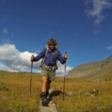 BWW Review: BORN TO REWILD Is A Majestic And Meaningful Call To Preserve The Wild