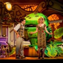 The Belgrade Theatre Presents LITTLE SHOP OF HORRORS — X FACTOR's Rhydian to star!