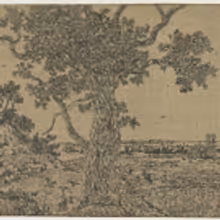 BWW Review: Hercules Segers: 400 Years New at The MET