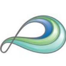 Pacific Arts Movement Seeks New Executive Director