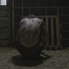 Chilling Horror Film THE SUFFERING Coming This Summer