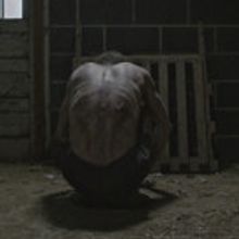 Chilling Horror Film THE SUFFERING Coming This Summer