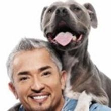 CESAR MILLAN LIVE! Set for Morrison Center in 2016