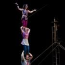 Lost in Translation Circus' THE HOGWALLOPS Set for Edinburgh Fringe, Now thru Aug 29