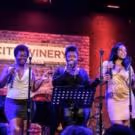 Photo Flash: CHICAGO SINGS THE BEST OF MOTOWN Raises Record Funds for Porchlight…