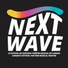 BWW Preview: NEXT WAVE FESTIVAL at CETM