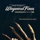 First Look - Poster Art for Season Two of WAYWARD PINES