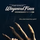 First Look - Poster Art for Season Two of WAYWARD PINES