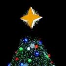 Kelly Clarkson & More to Perform at 94th Annual National Christmas Tree Lighting
