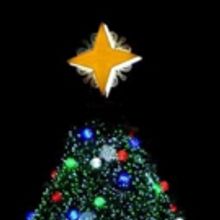 Kelly Clarkson & More to Perform at 94th Annual National Christmas Tree Lighting