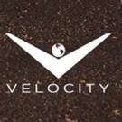 DALLAS CAR SHARKS Returns to Velocity in September