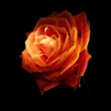 Mamai Theatre Company to Host 2016 WOMEN ON FIRE Benefit