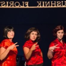 Audiences Adore LITTLE SHOP OF HORRORS Now Playing at the Nevada Theatre