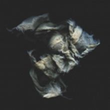 Tulipomania Releases Fourth Album THIS GILDED AGE Today