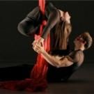 Heidi Latsky Dance to Hold Auditions for New Piece at NYU's Skirball Center, Today