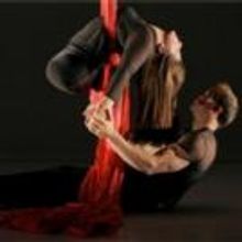 Heidi Latsky Dance to Hold Auditions for New Piece at NYU's Skirball Center, 9/8