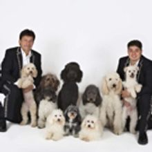 AMERICA'S GOT TALENT Winners The Olate Dogs to Woof at bergenPAC