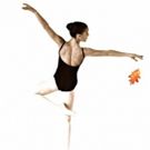 Mill Ballet School to Host Open House Next Month