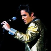 ONE NIGHT WITH THE KING Brings Legacy of Elvis to Suncoast Showroom