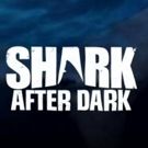 Eli Roth to Return as Host of Late-Night Talk Show SHARK AFTER DARK This June