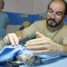 THIRTEEN's NATURE Presents 'Jungle Animal Hospital' Tonight