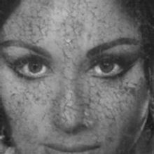 Fawzia Mirza's ME, MY MOM & SHARMILA Comes to Steppenwolf This Month