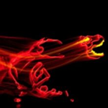 Lightwire Theater's DINO-LIGHT to Illuminate Music Hall This March