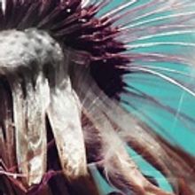 BWW Review: EIGENGRAU, King's Head Theatre, June 5 2016