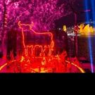Handa Opera on Sydney Harbour Presents CARMEN, 2017